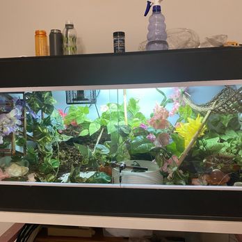 Pet Supermarket - My 4x2x2 enclosure for her. - Pet Stores Near Me - Gainesville, Florida