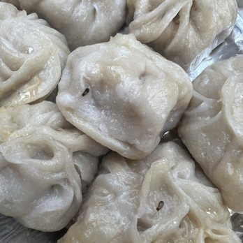 Lhasa Tibetan Restaurant - Roaches on my momos - Himalayan/Nepalese Near Me - Jackson Heights, New York Lhasa Tibetan Restaurant - Roaches on my momos - Himalayan/Nepalese Near Me - Jackson Heights, New York