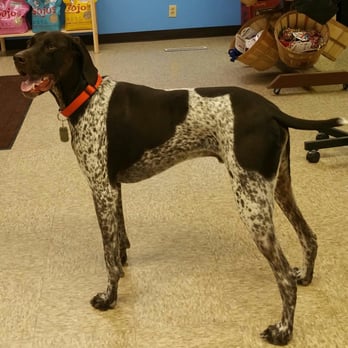 Salata Pet Supply - Pet Groomers Near Me - Milan, Illinois Salata Pet Supply - Pet Groomers Near Me - Milan, Illinois