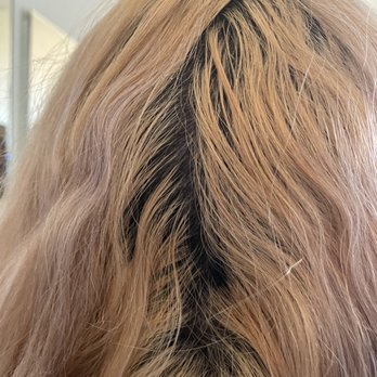 Forever Bella Hair Designs - Terrible color shade - Hair Salons Near Me - Fleming Island, Florida Forever Bella Hair Designs - Terrible color shade - Hair Salons Near Me - Fleming Island, Florida