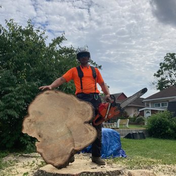 red saw tree service