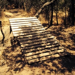 Bosque Panul - Obstáculo improvisado para bicicletas.