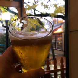 Pliny the Elder IPA Pliny the Elder IPA