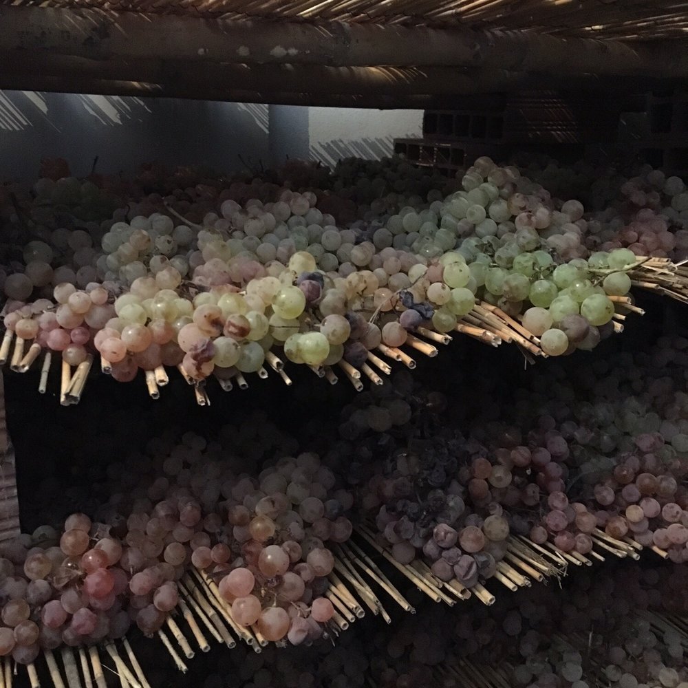 The Old Frascati - Food Tours Near Me - Frascati, RM The Old Frascati - Food Tours Near Me - Frascati, RM