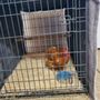 Photo of Country Veterinary Clinic