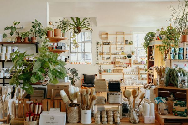 THE COLLECTIVE by null