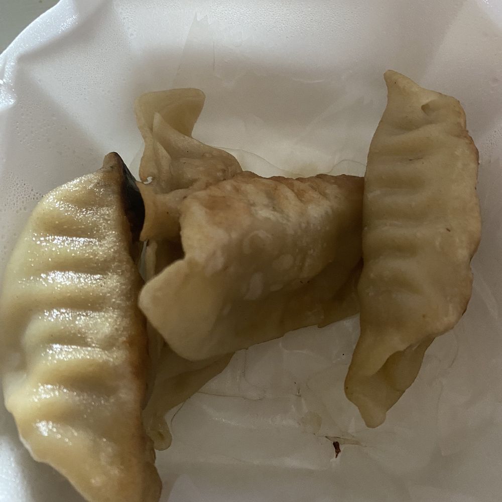 China Dragon Restaurant - Fried  Dumpling - Chinese Near Me - Gulf Shores, Alabama