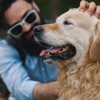 Living Harmony - Learn how you can sooth and heal your own pet with Cat Stone's EFT for Pets. - Life Coach Near Me - Hoboken, New Jersey