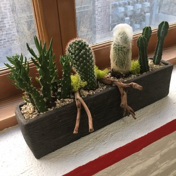 Jacob Maarse Florist - Variety Cactus Arrangement - Florists Near Me - Pasadena, California Jacob Maarse Florist - Variety Cactus Arrangement - Florists Near Me - Pasadena, California