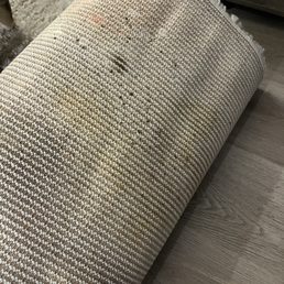Mold on Airbnb carpets Mold on Airbnb carpets