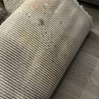 10 Stars Property Management - Mold on Airbnb carpets - Property Management Near Me - Pinellas Park, Florida 10 Stars Property Management - Mold on Airbnb carpets - Property Management Near Me - Pinellas Park, Florida