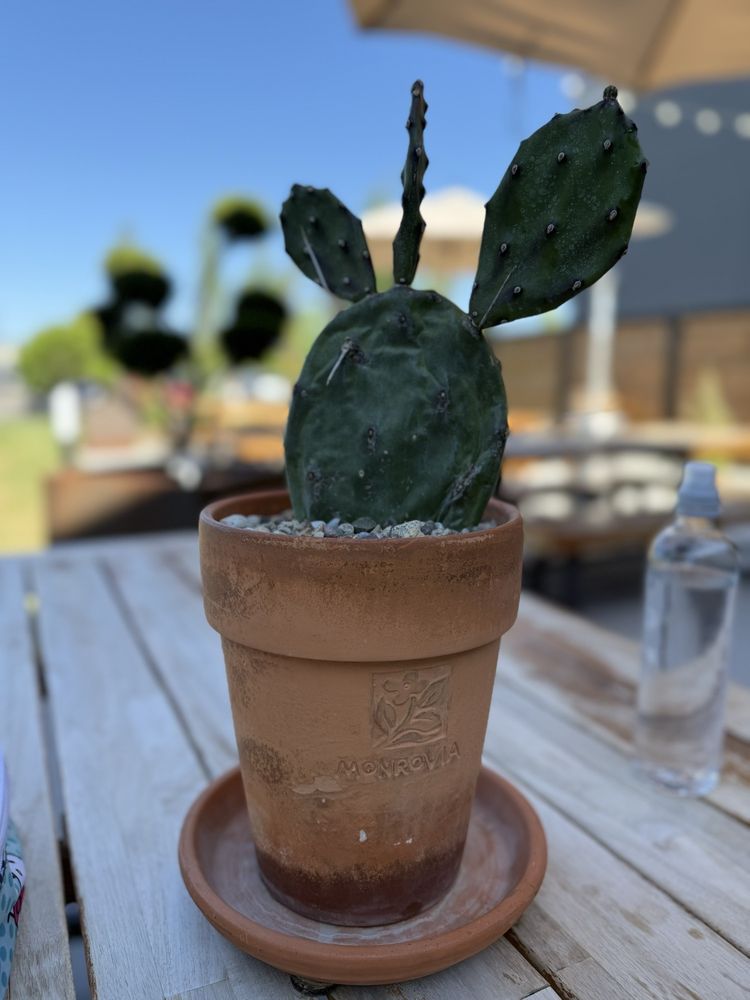 The Bruery at Eagle View Landing