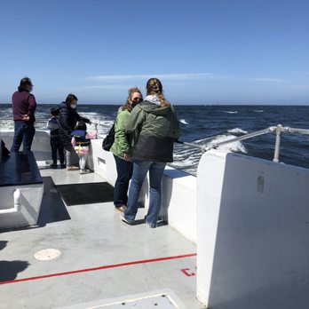 Discovery Whale Watch - back of the boat - Whale Watching Tours Near Me - Monterey, California Discovery Whale Watch - back of the boat - Whale Watching Tours Near Me - Monterey, California