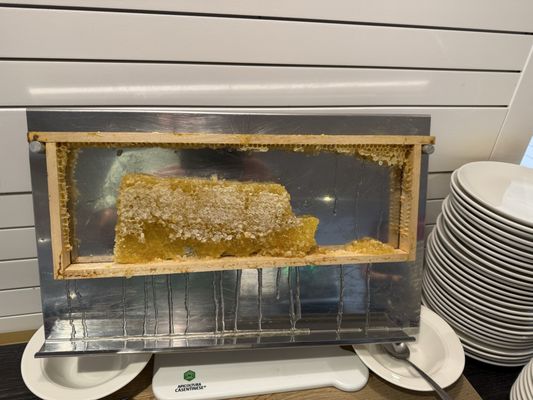 Le Méridien Nice by null