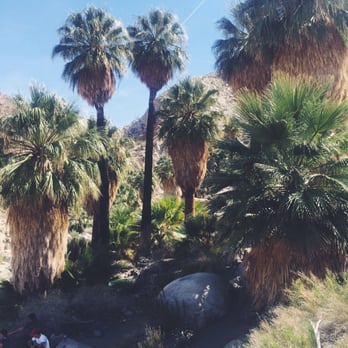 Fortynine Palms Oasis - Ooooo - Hiking Near Me - Twentynine Palms, California