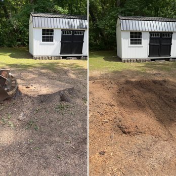 Raleigh Stump Grinding - Bye bye big stumps! - Tree Services Near Me - Raleigh, North Carolina Raleigh Stump Grinding - Bye bye big stumps! - Tree Services Near Me - Raleigh, North Carolina