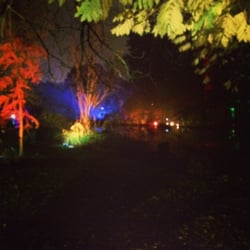Syon Park Enchanted Woodland