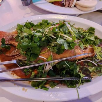 Paracel Events & Catering - Steam Whole Fish - Chinese Near Me - Westminster, California Paracel Events & Catering - Steam Whole Fish - Chinese Near Me - Westminster, California
