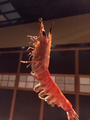 Fishing Restaurant Zauo Shinjuku by null