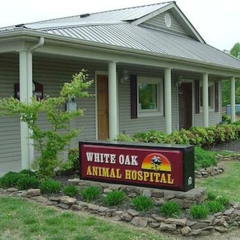 White Oak Animal Hospital - White Oak Animal Hospital - Offering Holistic Veterinary Options - Veterinarians Near Me - Fairview, Tennessee White Oak Animal Hospital - White Oak Animal Hospital - Offering Holistic Veterinary Options - Veterinarians Near Me - Fairview, Tennessee