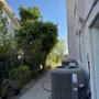 Navarro Tree Service