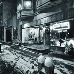 Small Star Art House - First snow 2017