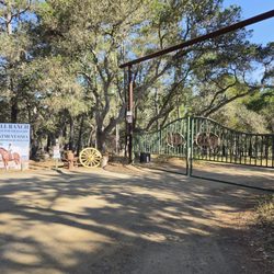Covells Clydesdale Ranch