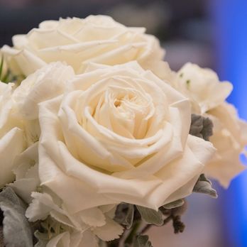 Blume Events - Florists Near Me - Mesa, Arizona