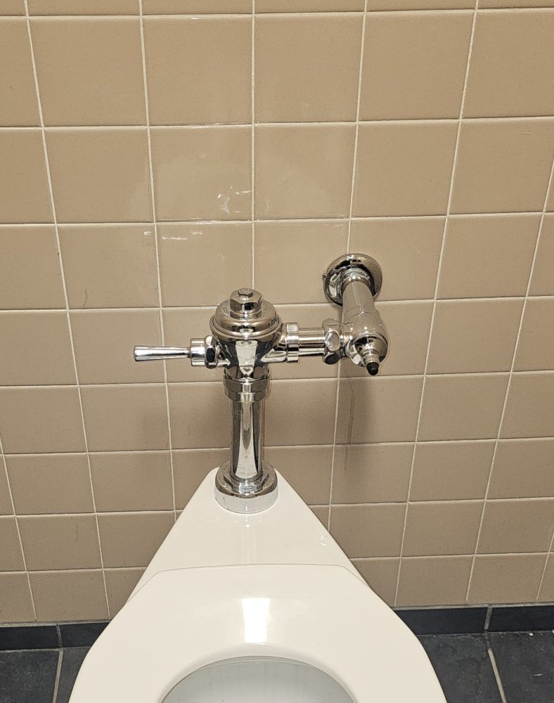 Slide of Billharz Plumbing