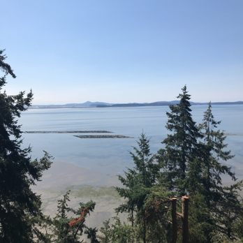 The Oyster Bar - Seafood Near Me - Bow, Washington