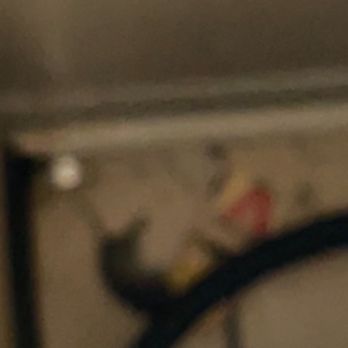 The Glendale Residence - one of several mice- i used so much steel wool to prevent entry but they live within the walls and building-refuses to send  pest control - Apartments Near Me - Lanham, Maryland