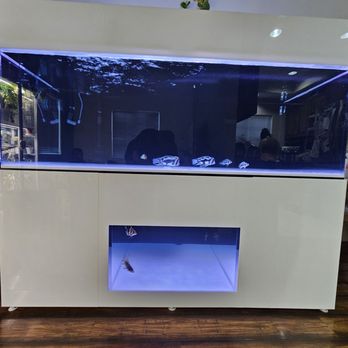 Advanced Acrylics - Aquarium Services Near Me - Orange, California Advanced Acrylics - Aquarium Services Near Me - Orange, California