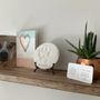 Photo of Home With You Compassionate Pet Euthanasia