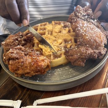 Dandelion Cafe - Chicken and Waffles - Coffee & Tea Near Me - Bellaire, Texas Dandelion Cafe - Chicken and Waffles - Coffee & Tea Near Me - Bellaire, Texas