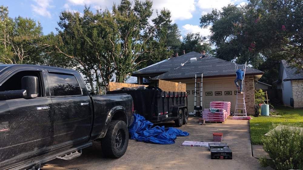 Slide of The Roof Goose