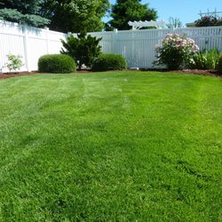 Acorn Landscaping