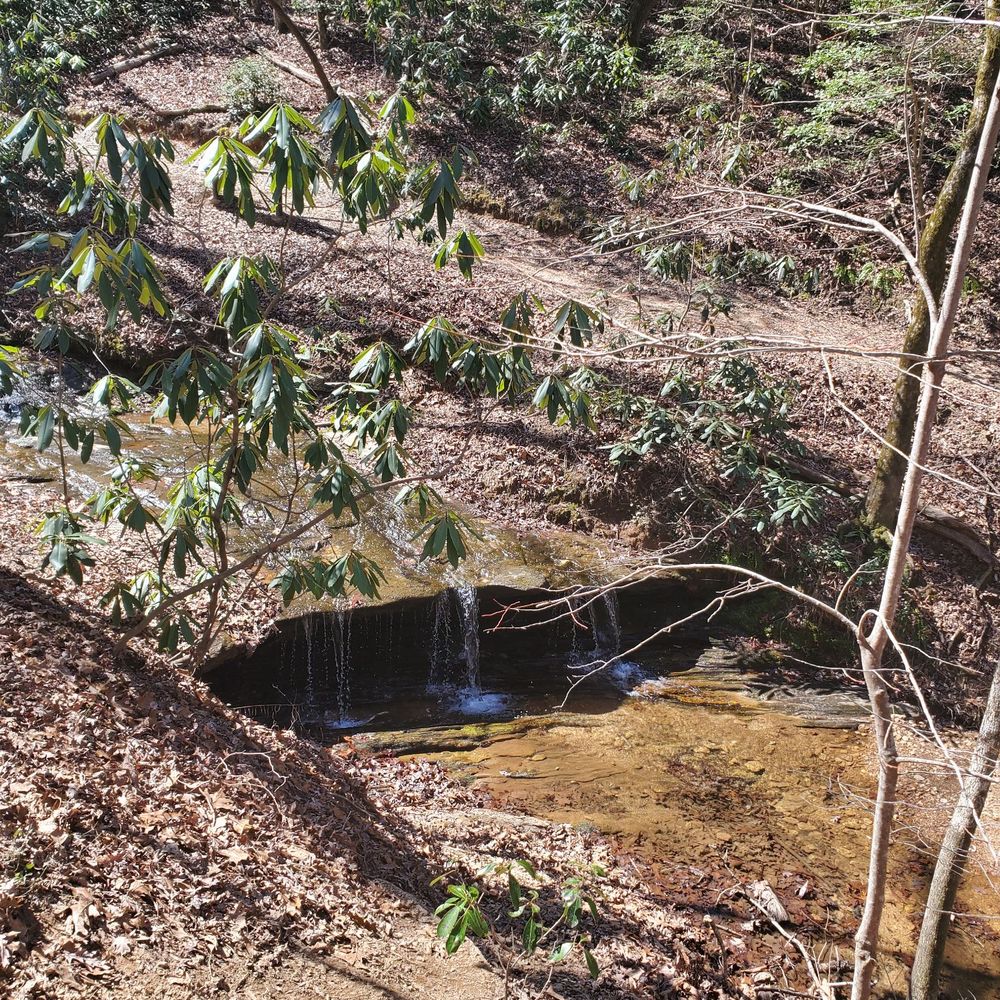 Bakers Mountain Park - Hiking Near Me - Hickory, North Carolina