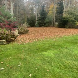 Paradise Landscaping - Fall cleanup