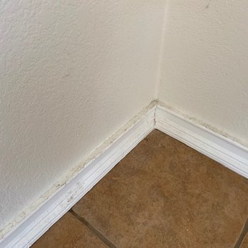 Chelly Chell's Cleaning Services - dirty! - Office Cleaning Near Me Chelly Chell's Cleaning Services - dirty! - Office Cleaning Near Me
