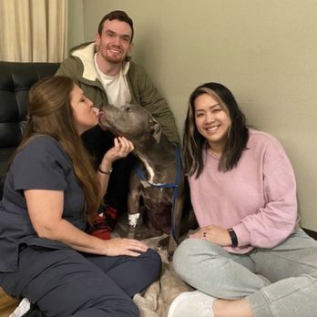 Emergency Pet Intensive Care - Our Daisy girl loving her vet Dr. De La Peza - Emergency Pet Hospital Near Me - Temecula, California