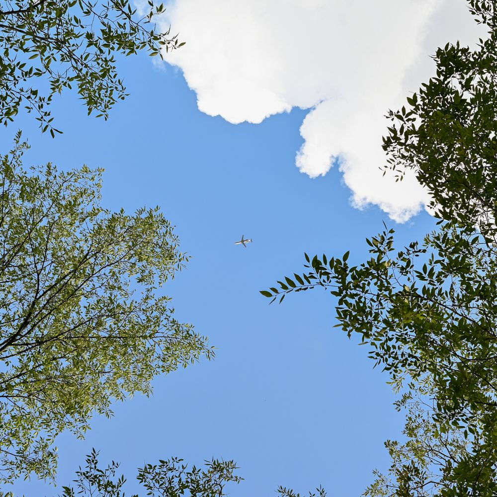 Spring Creek Greenway Nature Center - Parks Near Me - Spring, Texas Spring Creek Greenway Nature Center - Parks Near Me - Spring, Texas