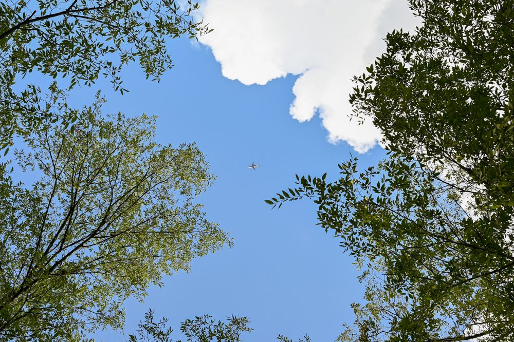 Spring Creek Greenway Nature Center Image