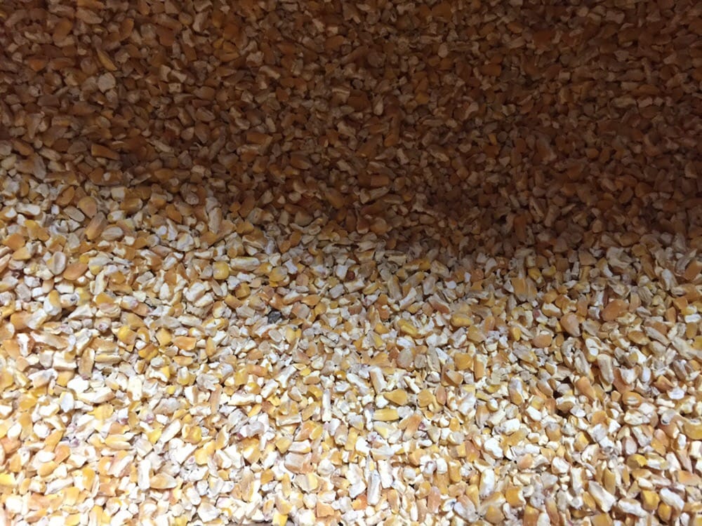 ELM AVENUE FEED Updated October 2024 97 Photos 3595 S Elm Ave