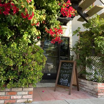 SF Pediatric Dentistry, Kristina Svensson, DDS - Find the bougainvillea and you'll find us! - Pediatric Dentists Near Me - San Francisco, California SF Pediatric Dentistry, Kristina Svensson, DDS - Find the bougainvillea and you'll find us! - Pediatric Dentists Near Me - San Francisco, California