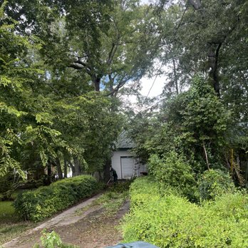 Squared Away Maintenance - A before photo of a yard that has not beed maintained for over 10 years! Photo 1 - Lawn Services Near Me Squared Away Maintenance - A before photo of a yard that has not beed maintained for over 10 years! Photo 1 - Lawn Services Near Me