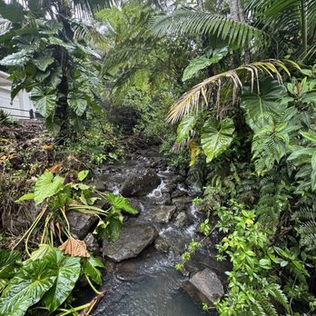 El Yunque Rainforest - Stream - Hiking Near Me - Luquillo, Puerto Rico El Yunque Rainforest - Stream - Hiking Near Me - Luquillo, Puerto Rico