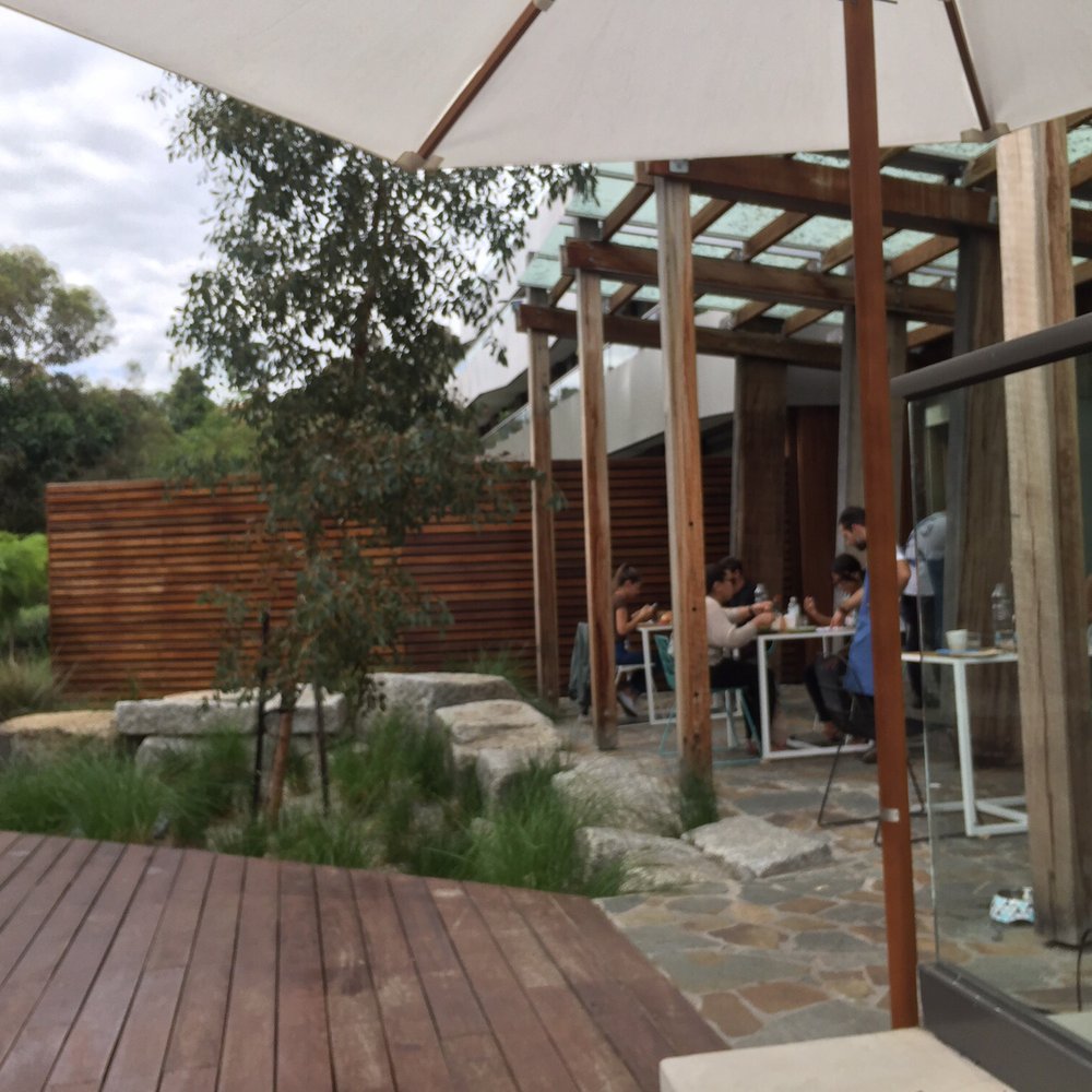 Kitty Burns - The outdoor deck, which is puppy friendly. - Coffee & Tea Near Me - Abbotsford, VIC