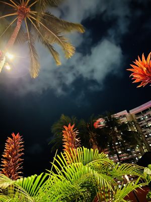 Mai Tai Bar by null