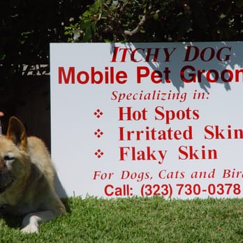 Tender Loving Care - Pet Groomers Near Me - Los Angeles, California Tender Loving Care - Pet Groomers Near Me - Los Angeles, California