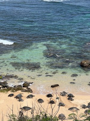 Ho'okipa Beach Park by null